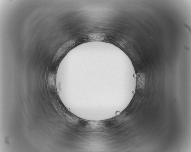 X0000103300713200808291130