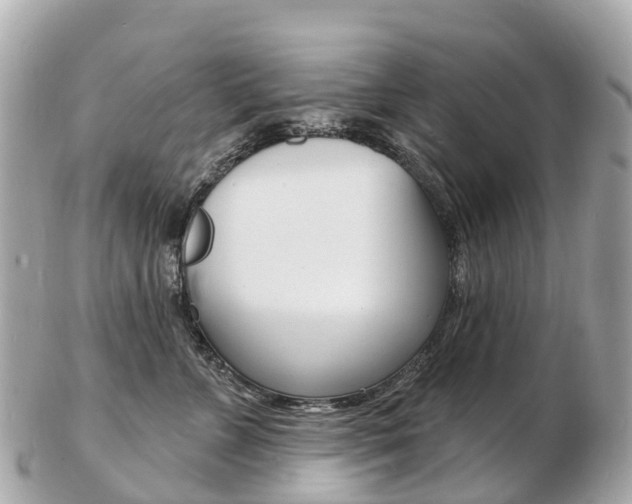 X0000103300715200808291130