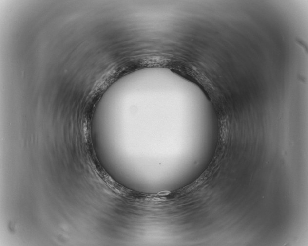 X0000103300716200808291130