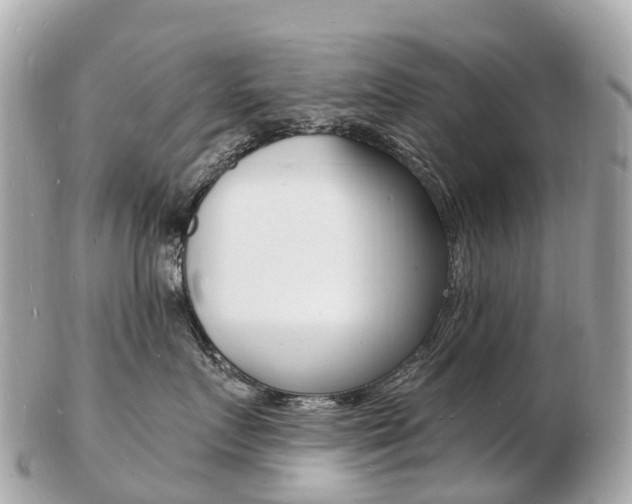X0000103300719200808291130