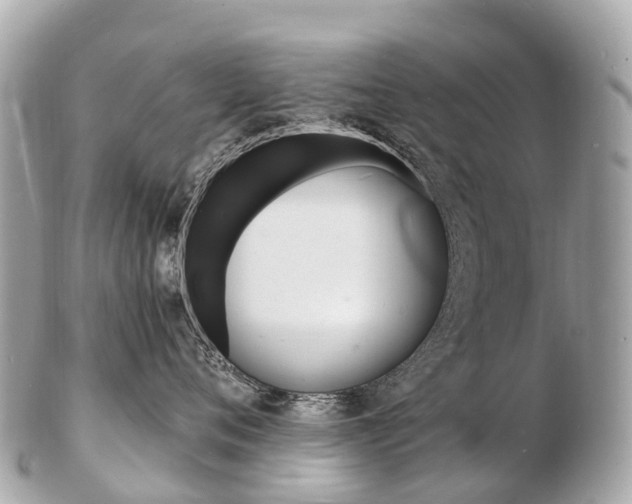 X0000103300720200808291130