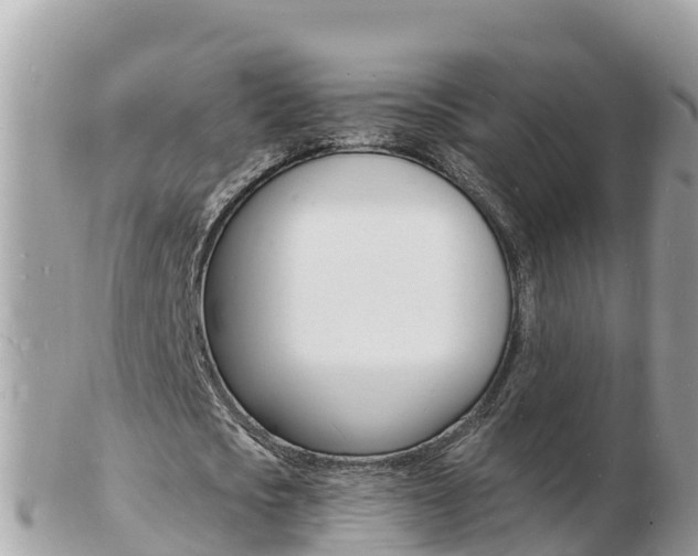 X0000103300721200808291130