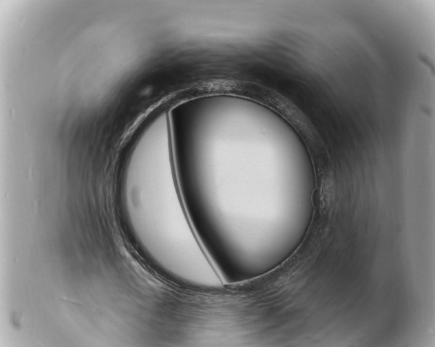 X0000103300722200808291130