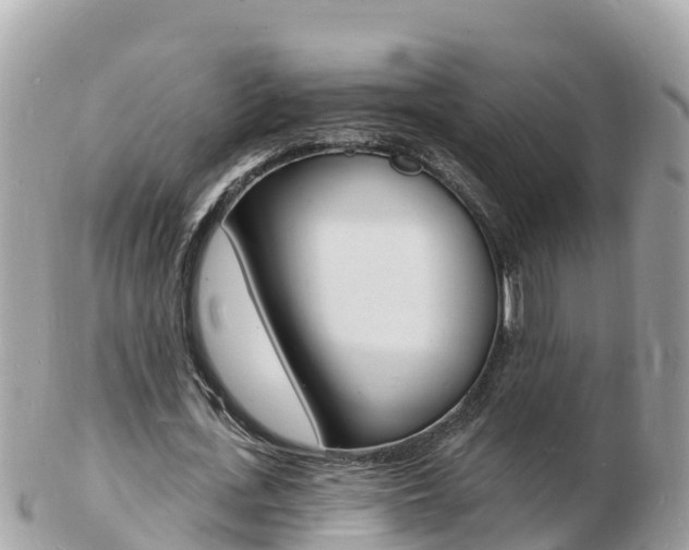 X0000103300723200808291130