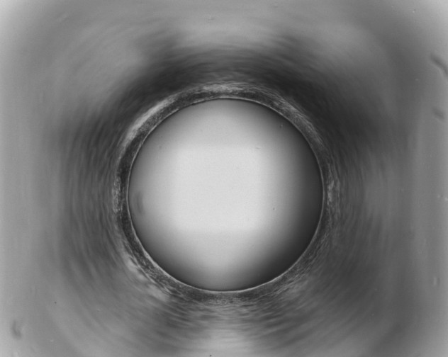 X0000103300724200808291130