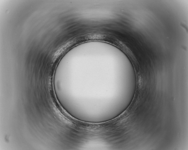 X0000103300725200808291130
