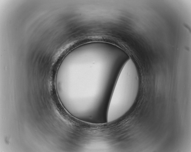 X0000103300728200808291130