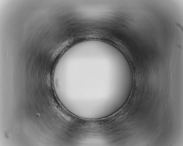 X0000103300729200808291130