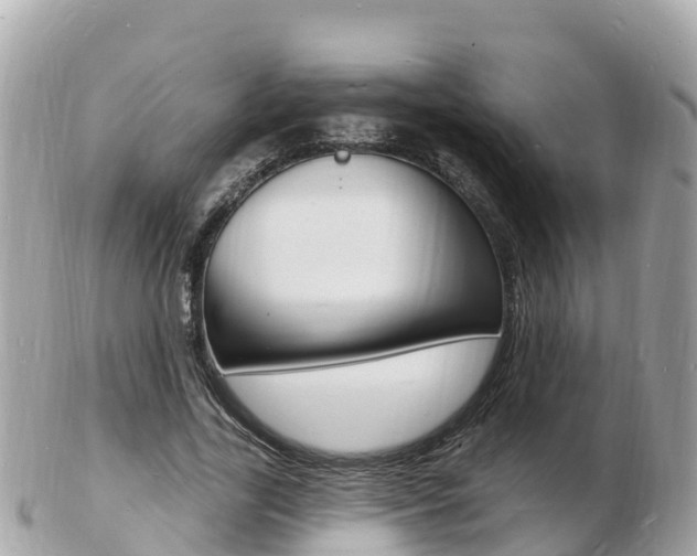 X0000103300731200808291130