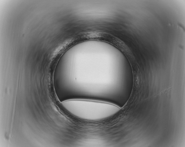 X0000103300732200808291130