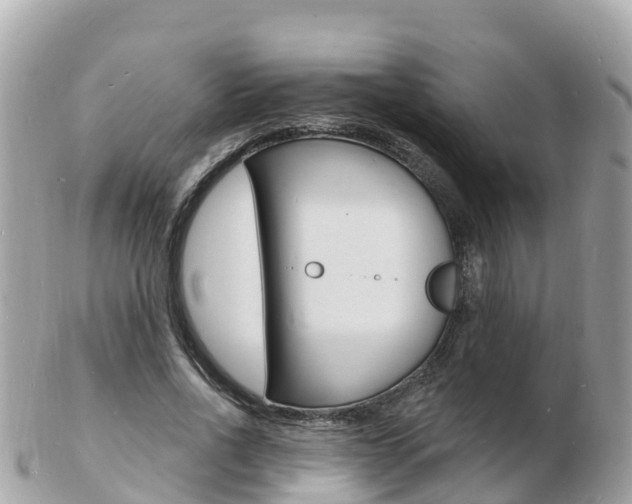 X0000103300734200808291130