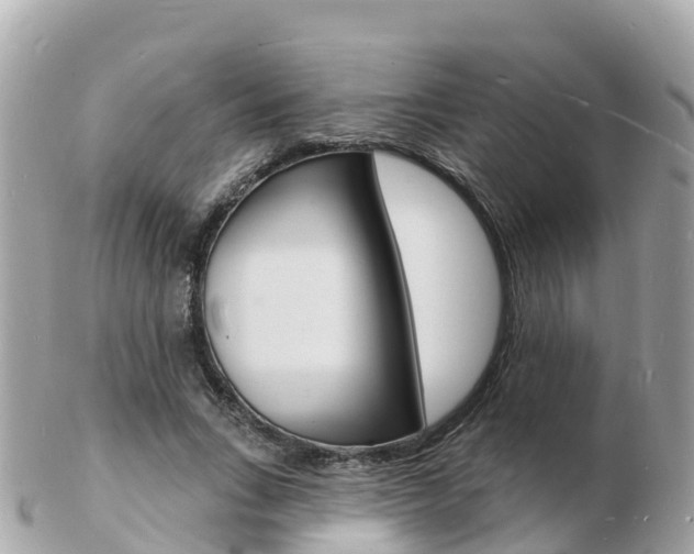 X0000103300735200808291130