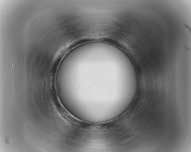 X0000103300736200808291130