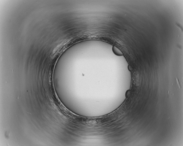 X0000103300740200808291130