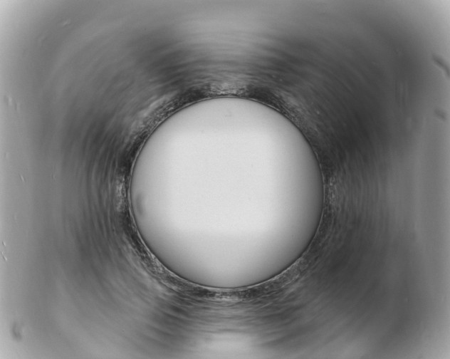 X0000103300741200808291130