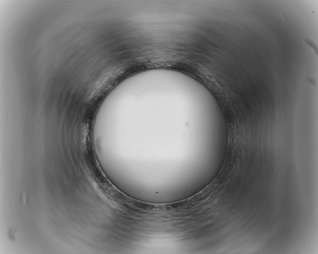 X0000103300742200808291130
