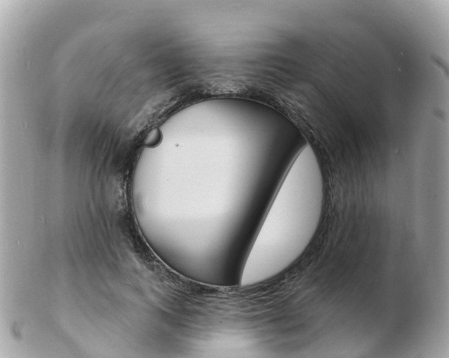 X0000103300743200808291130