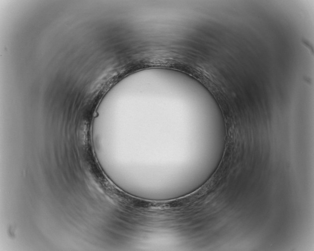 X0000103300744200808291130