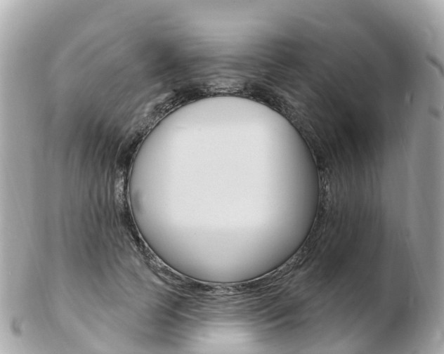 X0000103300745200808291130