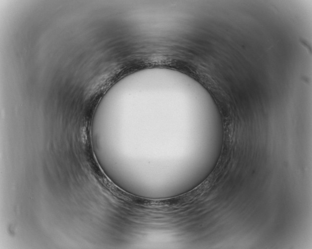 X0000103300746200808291130