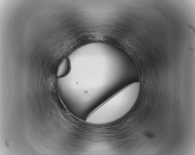 X0000103300747200808291130
