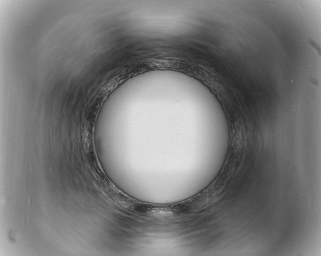X0000103300749200808291130