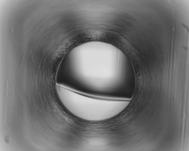 X0000103300750200808291130