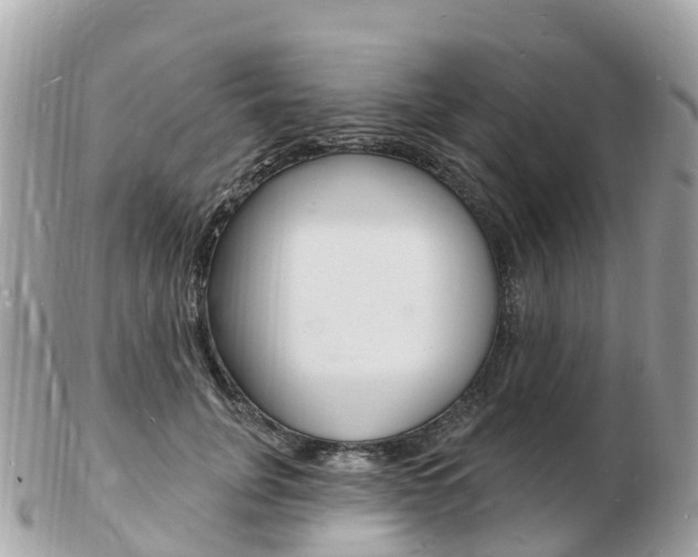 X0000103300751200808291130