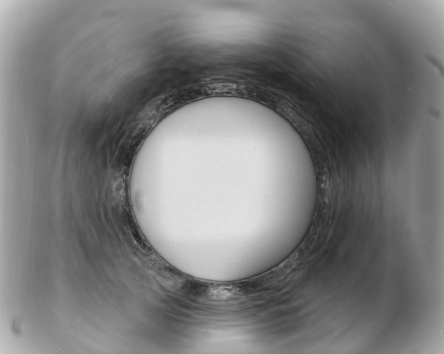 X0000103300753200808291130