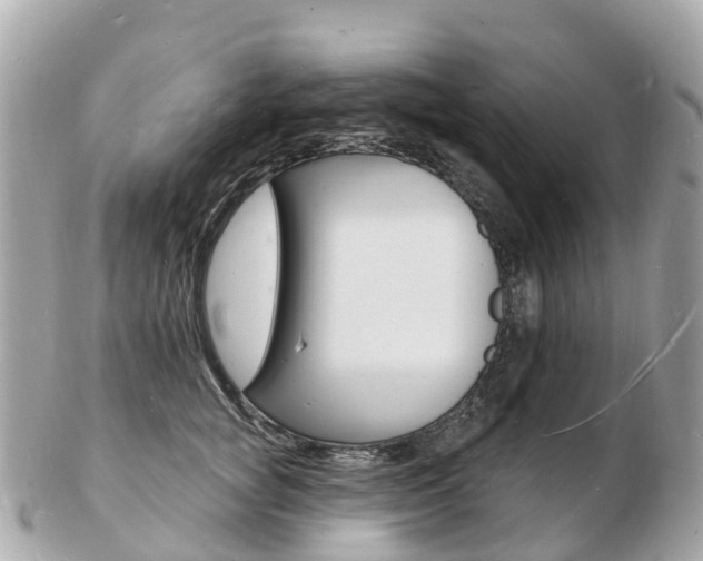 X0000103300757200808291130