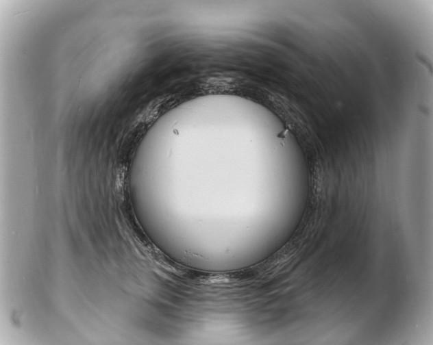X0000103300759200808291130