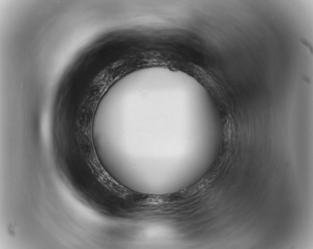 X0000103300764200808291130