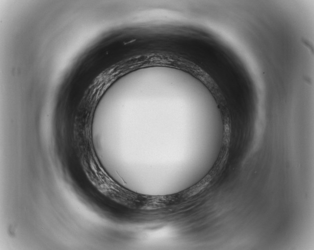 X0000103300765200808291130