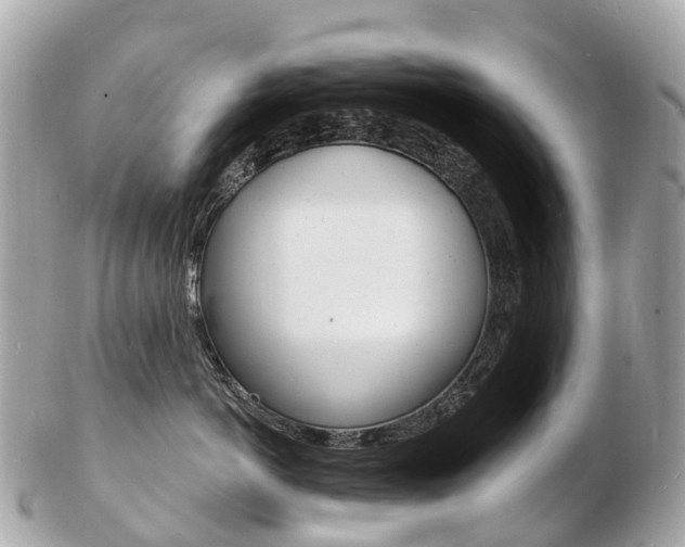 X0000103300766200808291130