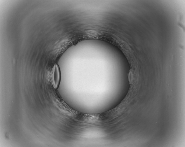 X0000103300768200808291130