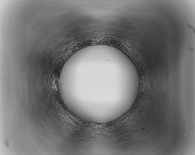 X0000103300770200808291130