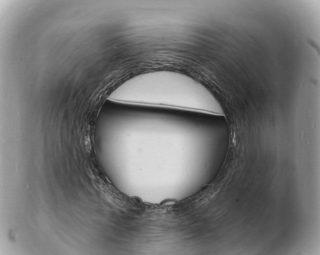 X0000103300771200808291130