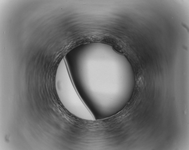 X0000103300772200808291130