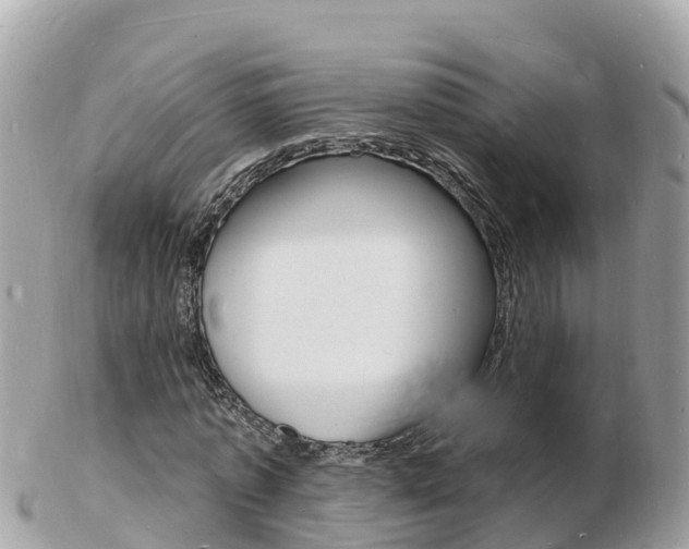X0000103300773200808291130