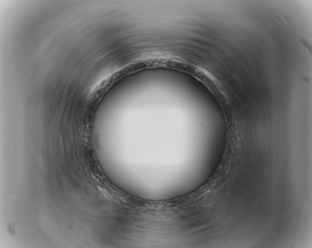 X0000103300775200808291130