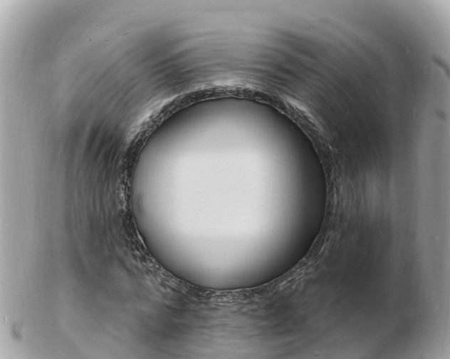 X0000103300776200808291130