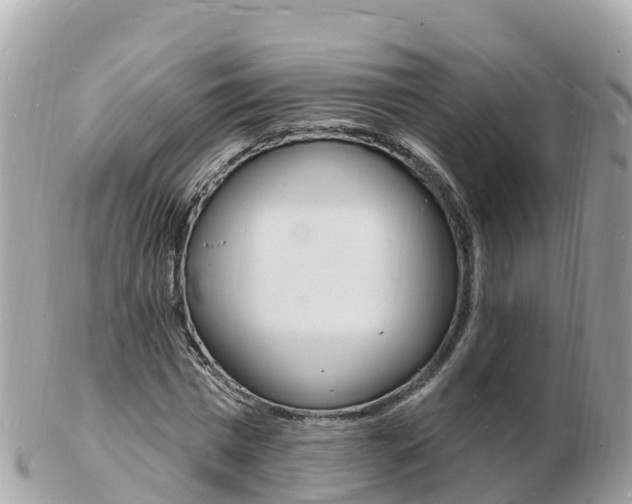 X0000103300777200808291130