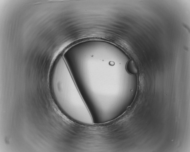 X0000103300780200808291130