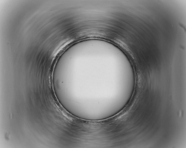 X0000103300782200808291129