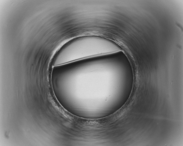 X0000103300784200808291129