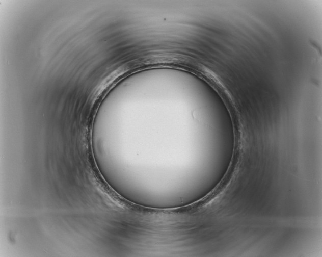 X0000103300786200808291129