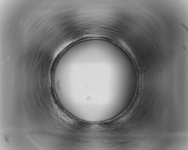 X0000103300787200808291129