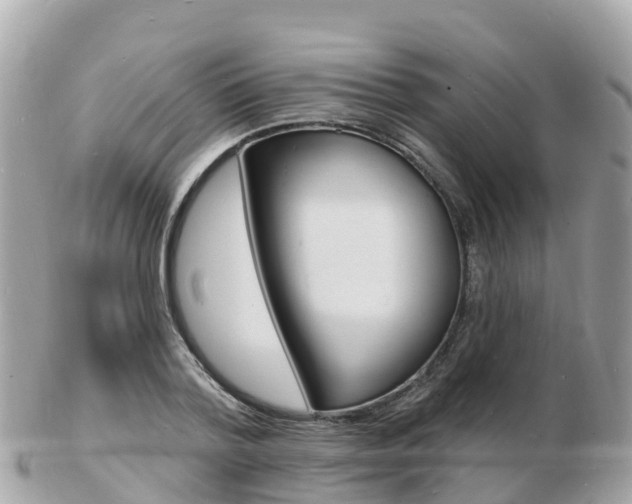 X0000103300788200808291129