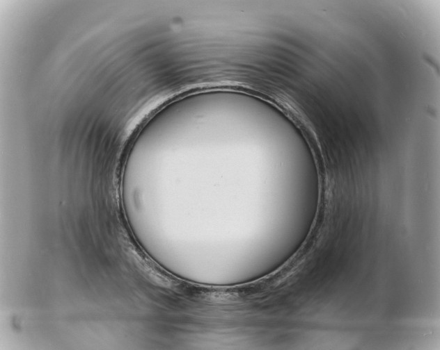 X0000103300789200808291129