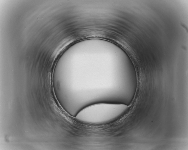 X0000103300790200808291129